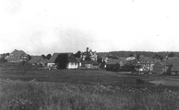 Buechenbeuren von Wahler Weg (3)