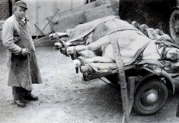 Stumm50